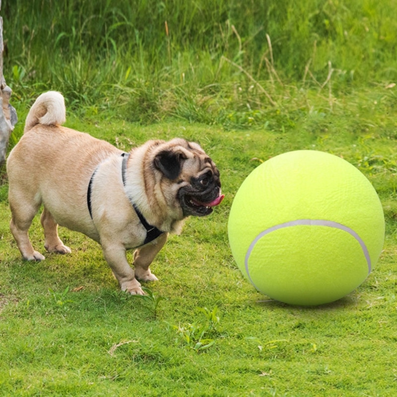 Balle de Tennis géante gonflable pour chiens – Image 2