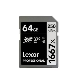 Carte mémoire SD Lexar pour appareil photo