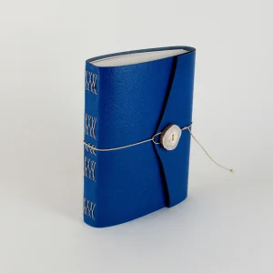 RIC - Journal de voyage en cuir