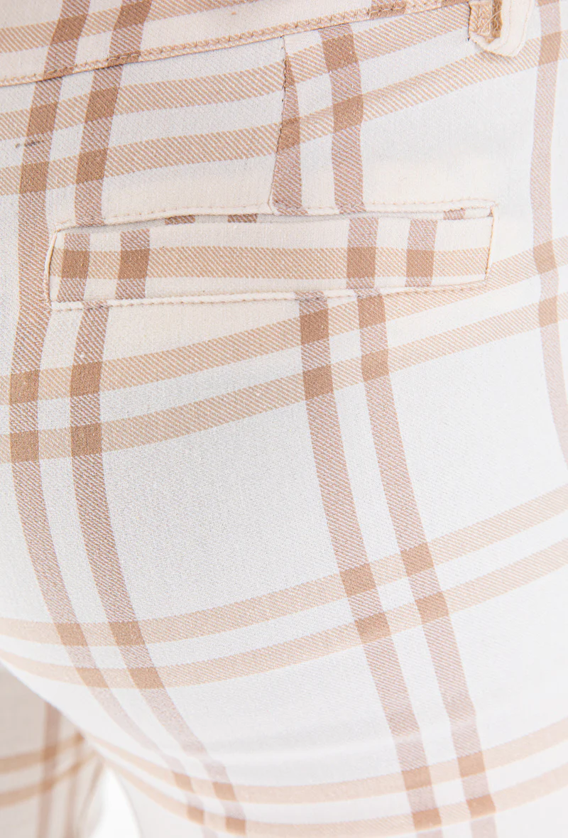 Wit Geruite Chino Sante – Image 4