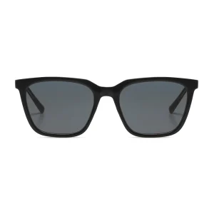 Jay Black Tortoise