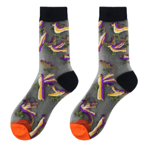 Chaussette fantaisie perroquet